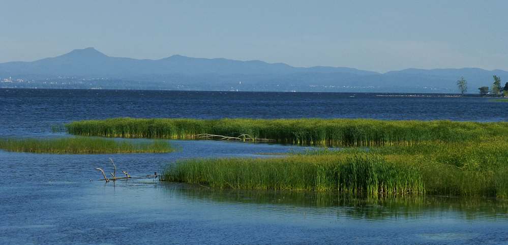 Lake Champlain, NY